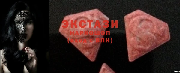 индика Коряжма