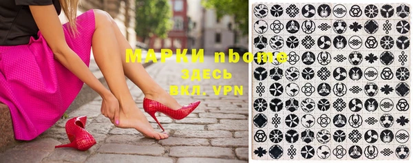 индика Коряжма