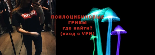 круглые Корсаков