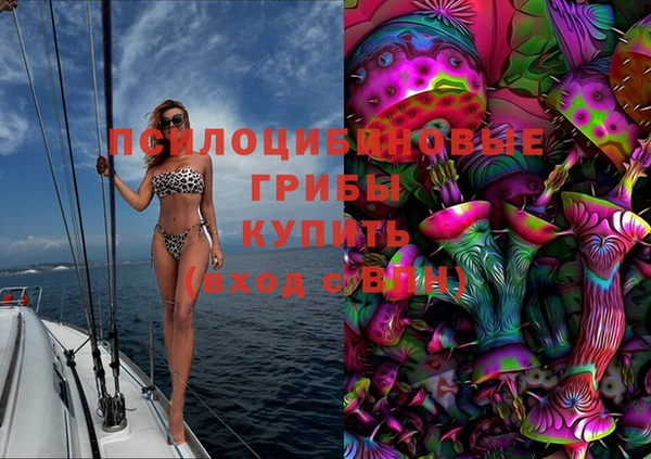 индика Коряжма