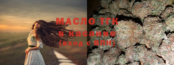 индика Коряжма