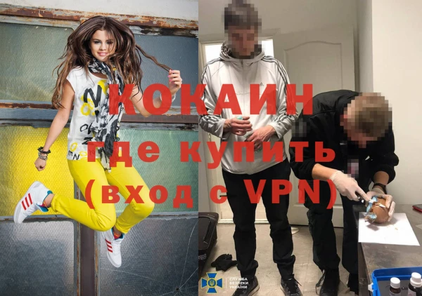 круглые Корсаков