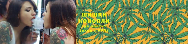 индика Коряжма