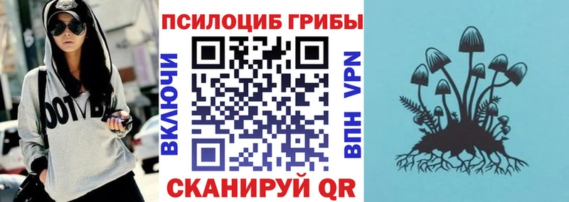 Псилоцибиновые грибы MAGIC MUSHROOMS  Купить где  Инта 